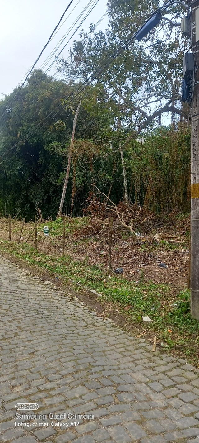 Terreno Cascatinha  - Foto 3