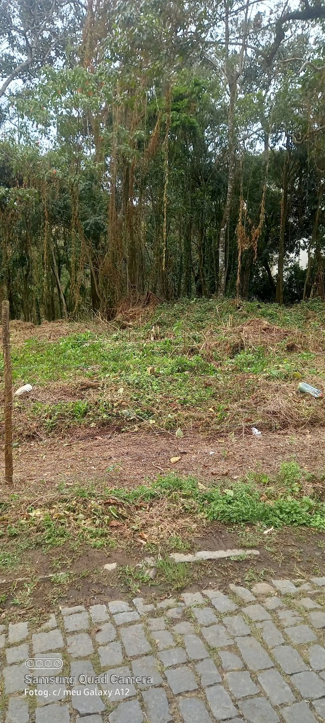 Terreno Cascatinha  - Foto 4