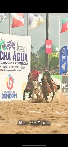 Cavalo de esteira - Cavalos e acessórios - Boca da Mata 1256655255