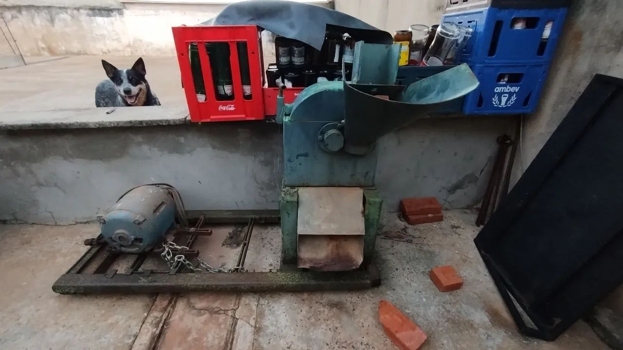 Forrageira estacionária trifásica. - Foto 4