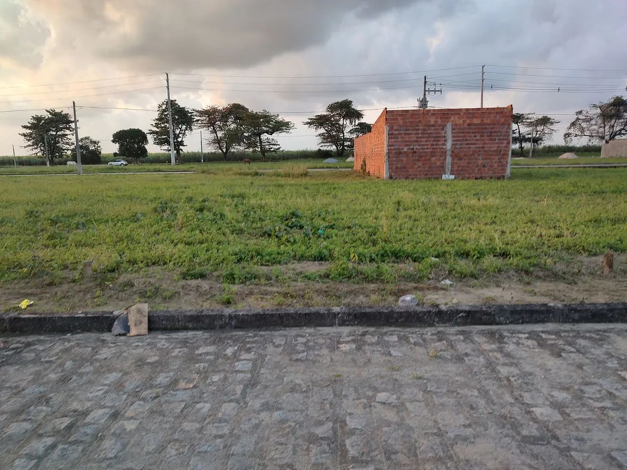 foto - Maceió - Cidade Universitária