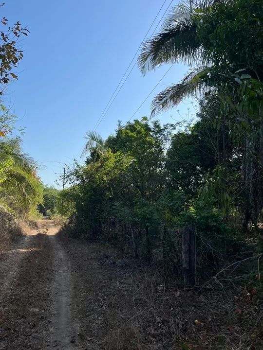 foto - Teresina - Bela Vista