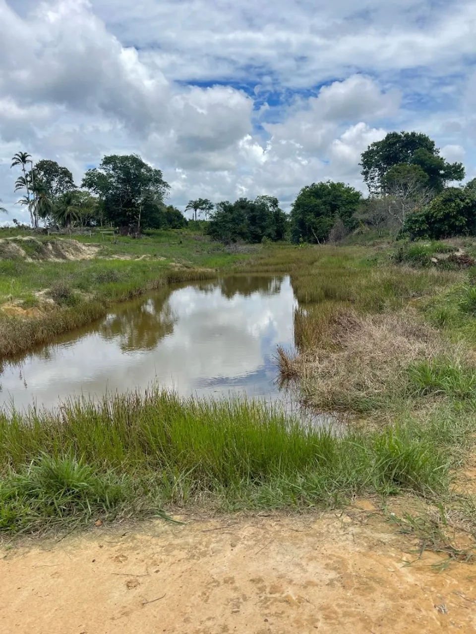 Vendo propriedade rural de 55 hectares de capim e documentação em rorainopolis