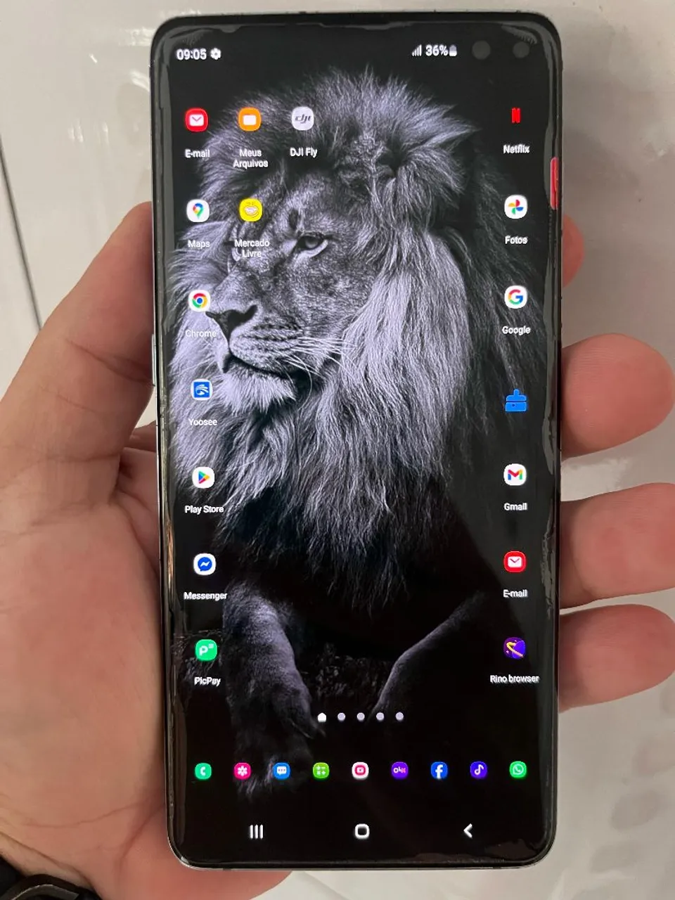 Galaxy S10+