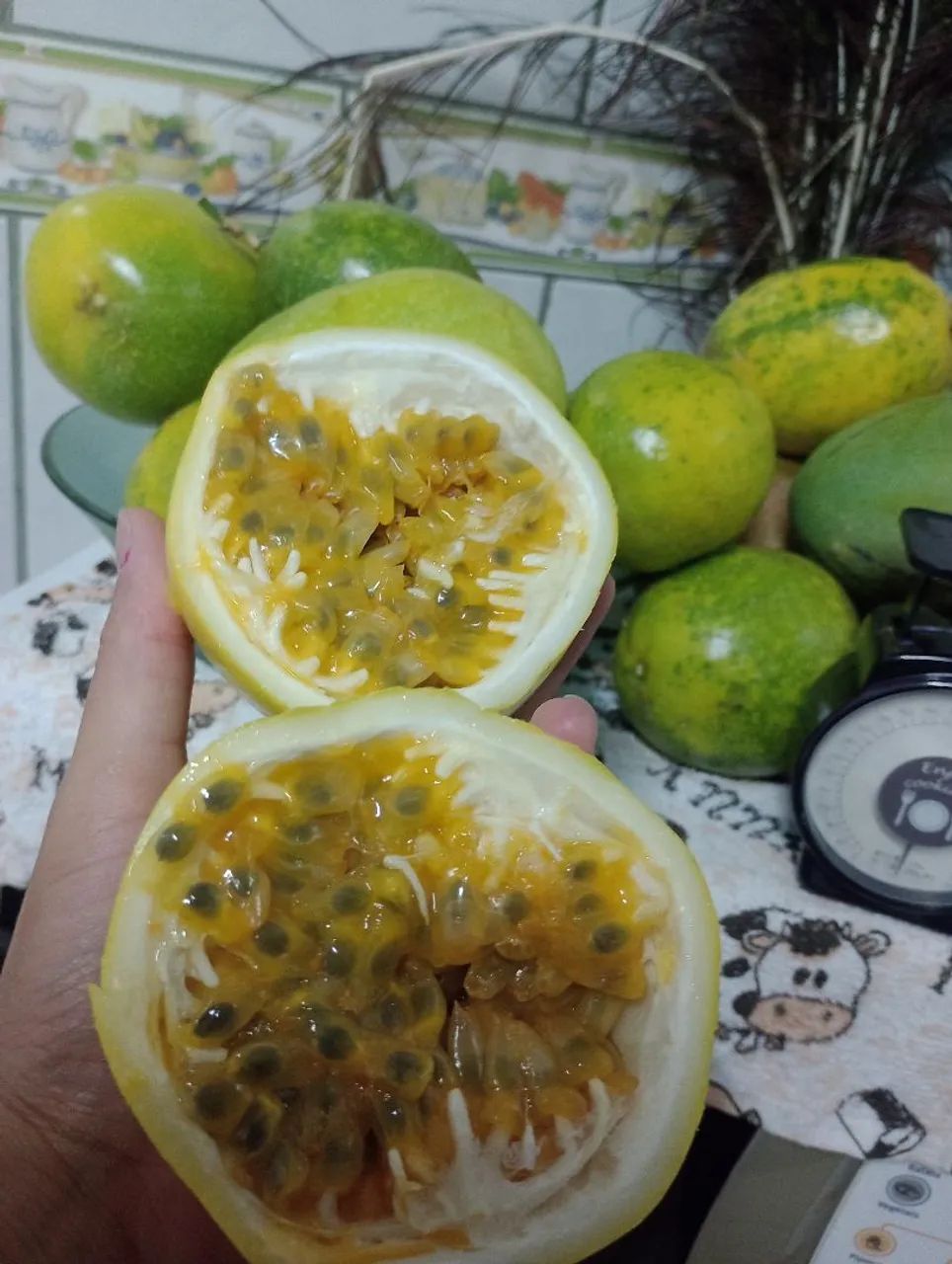 Sementes de maracujá para plantio ( alta produtividade) - Foto 4