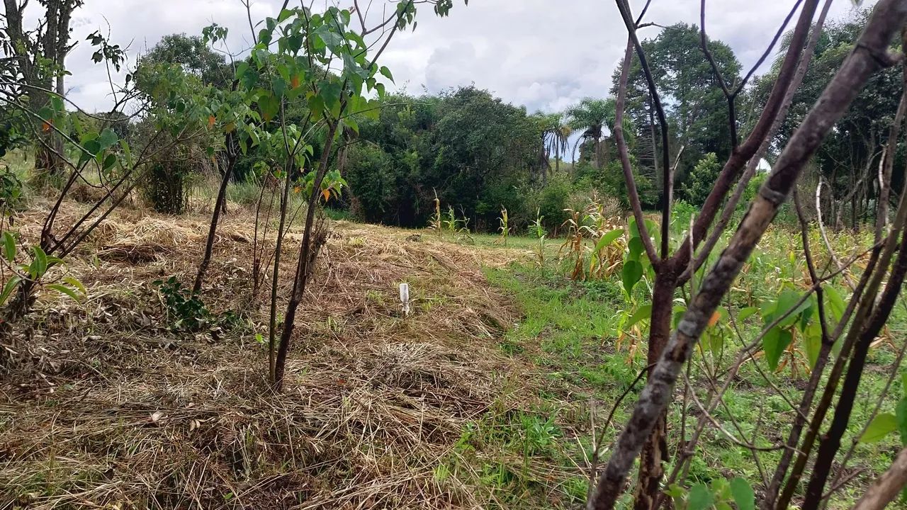 TERRENO JARDIM CANANÉIA 1.439,00 M2 - Foto 9