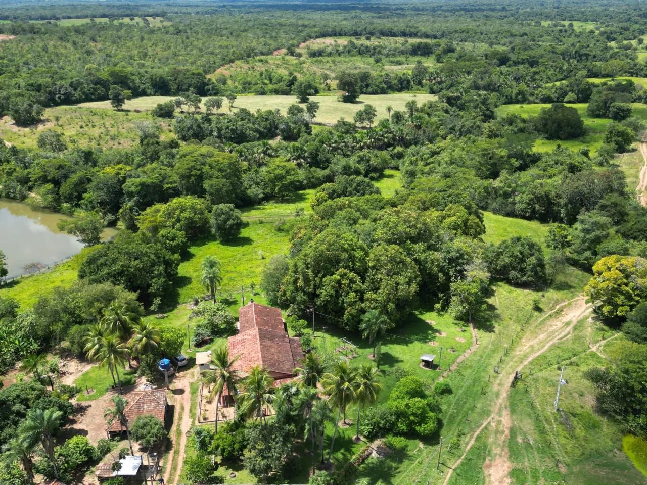Fazenda para pecuária  - Foto 4