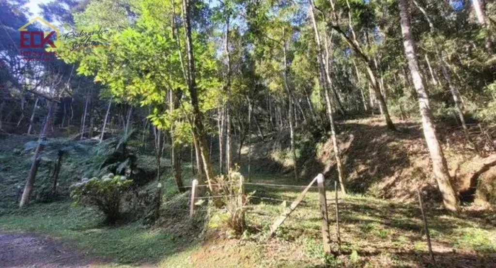 Terreno à venda, 4760 m² por R$ 360.000,00 - Alpes Campos do Jordão - Campos do Jordão/SP