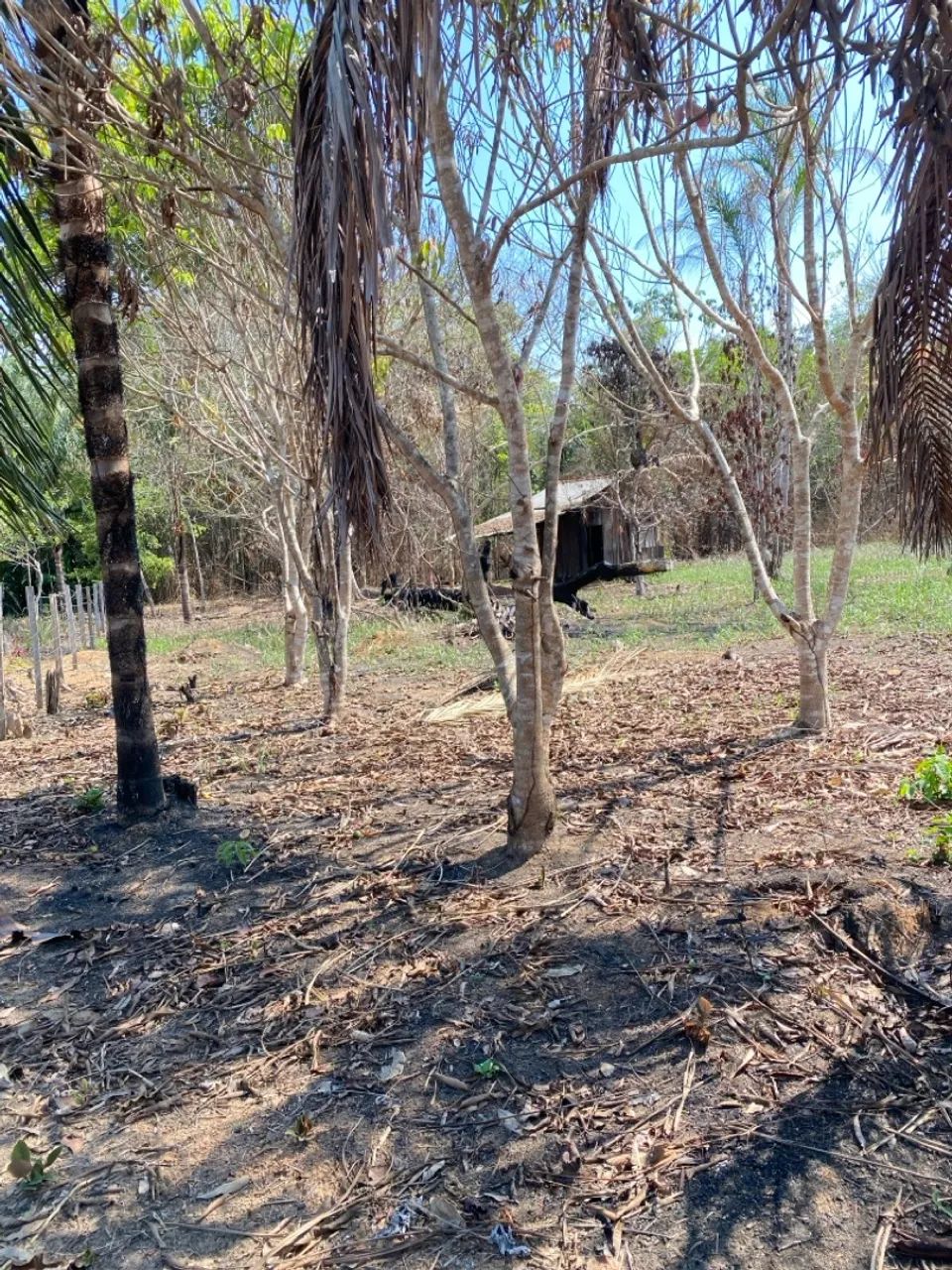 Chácara 100x250 - Foto 4