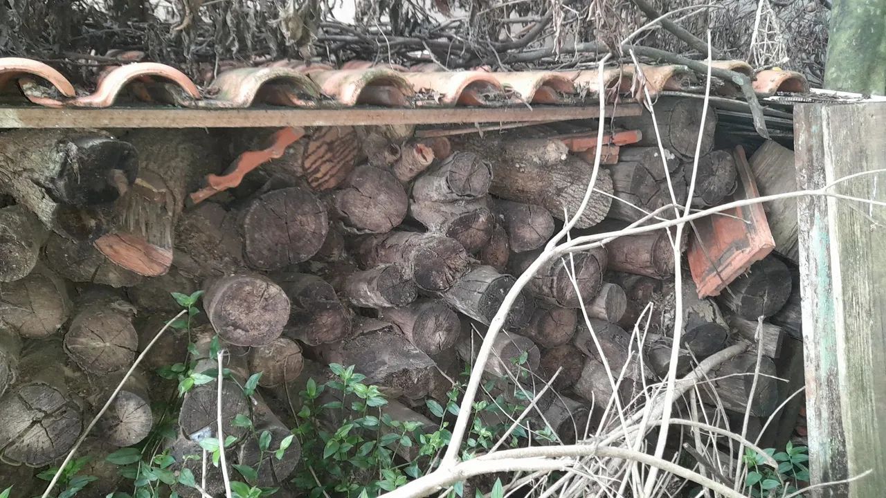 Lenha para churrasco, fogão ou forno - Foto 3