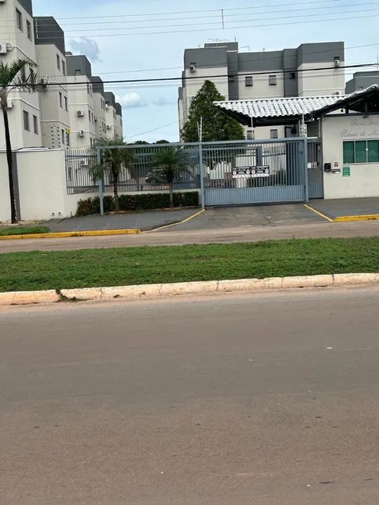 Palmas dia Maiorca