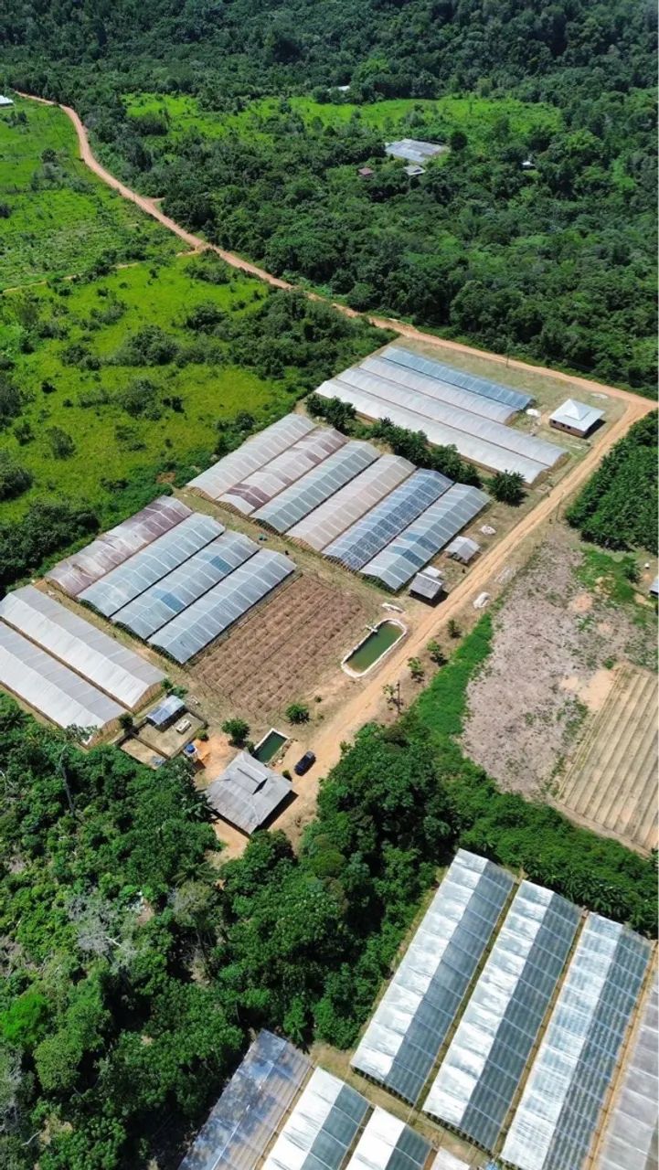 Terreno 100x2000m em Presidente Figueiredo/AM - Foto 5
