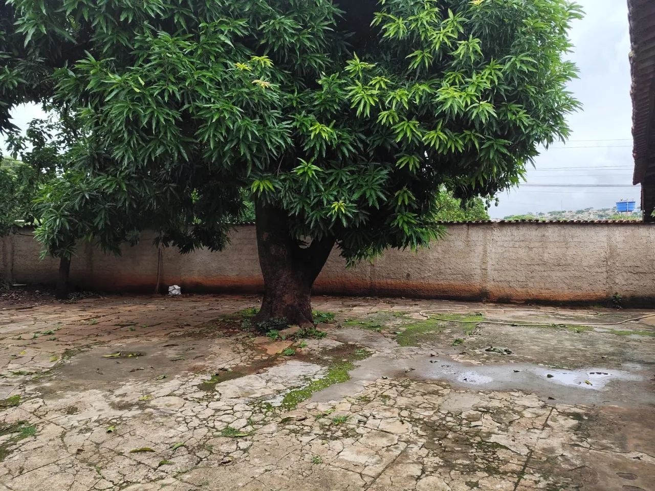 Oportunidade Lote com duas casas!! - Foto 4