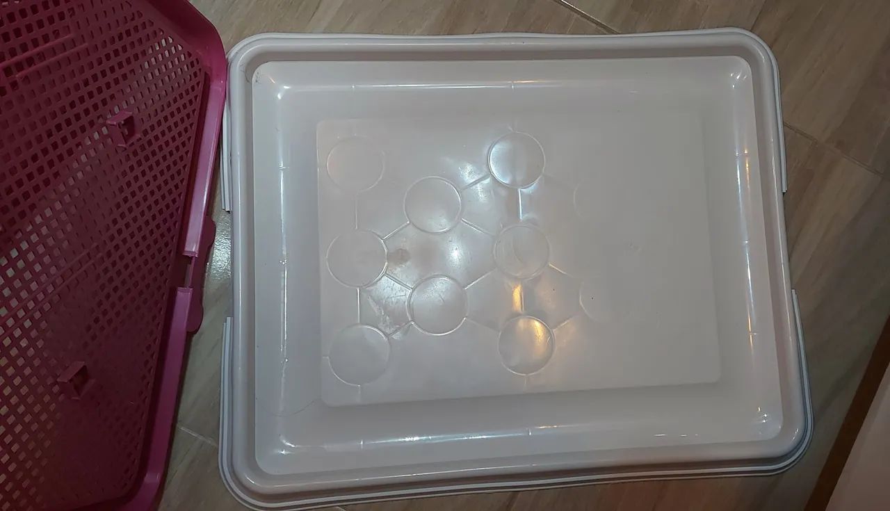 Esteira Higiênica para cachorro  - Foto 2