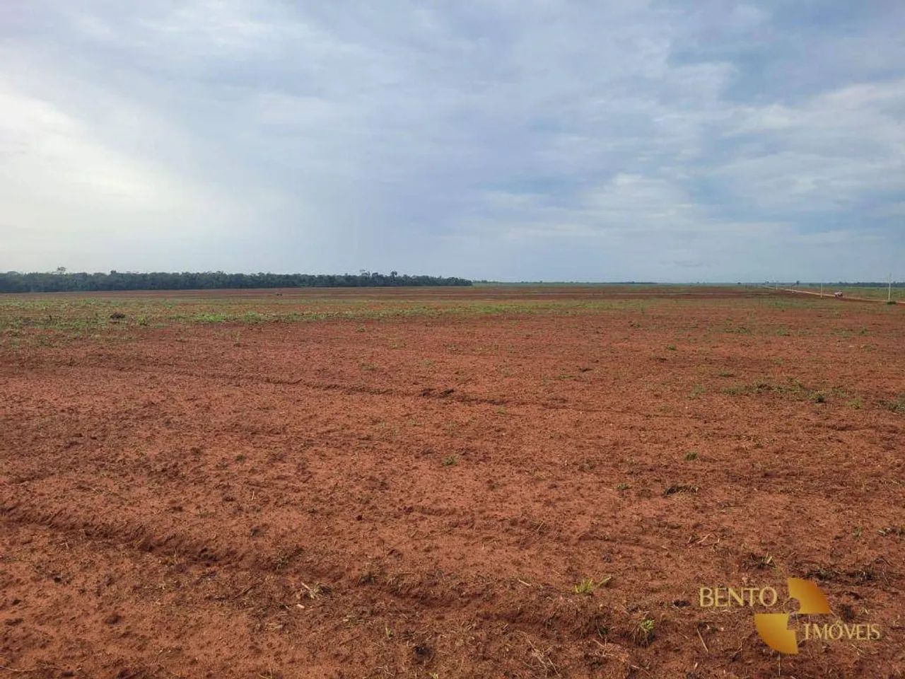 Fazenda à venda,  m² por R$ 78.000.000 - Zona Rural - Nova Maringá/MT - Foto 5