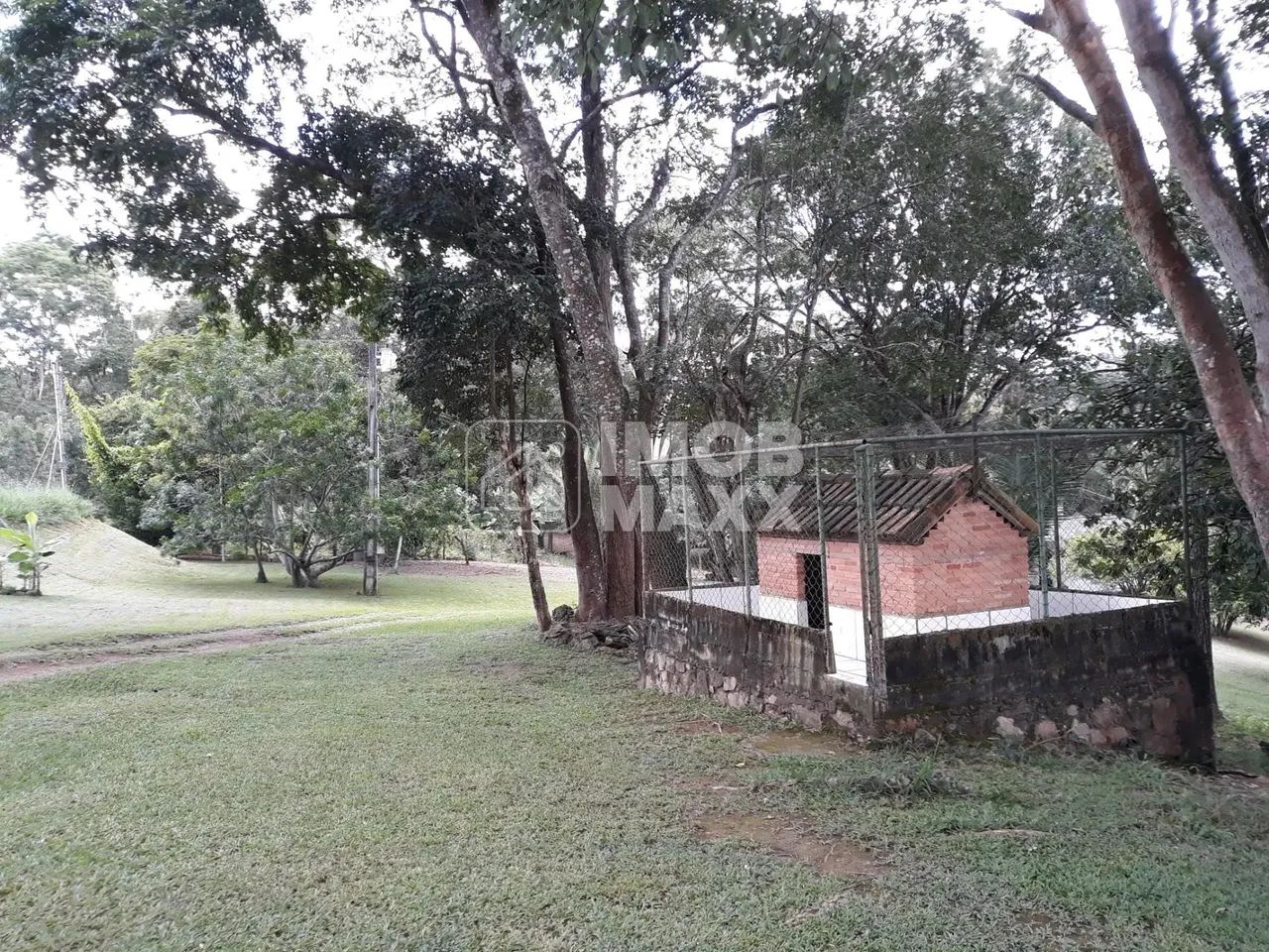Chácara formada, excelente oportunidade, margem Rio Maranhão, pomar, em Planaltina DF. - Foto 7