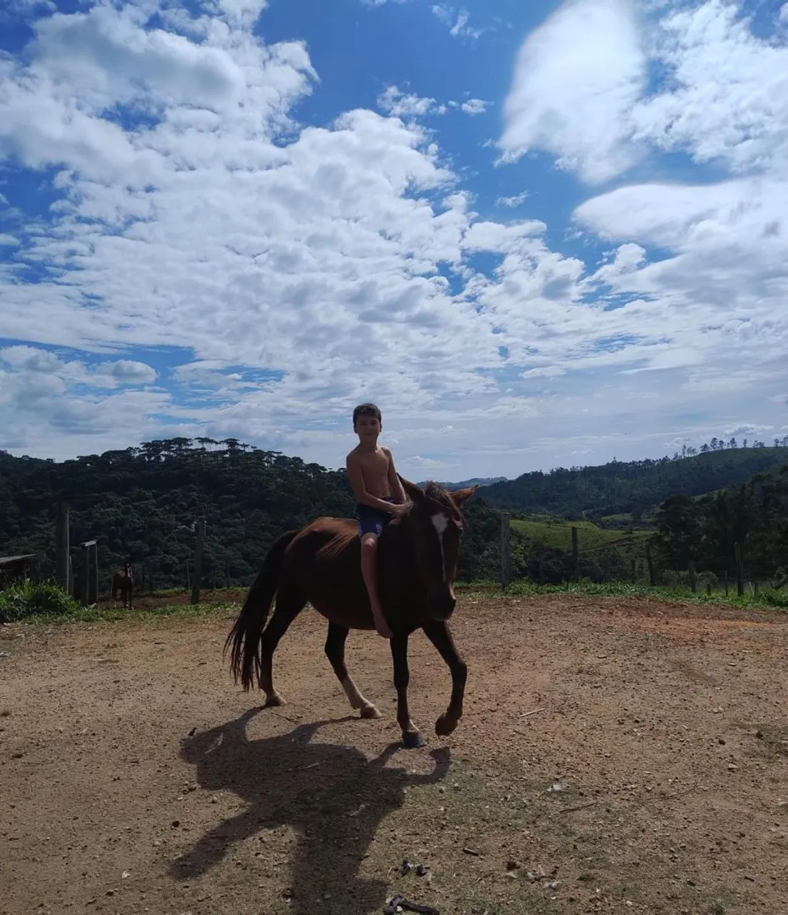 Cavalo para passeio