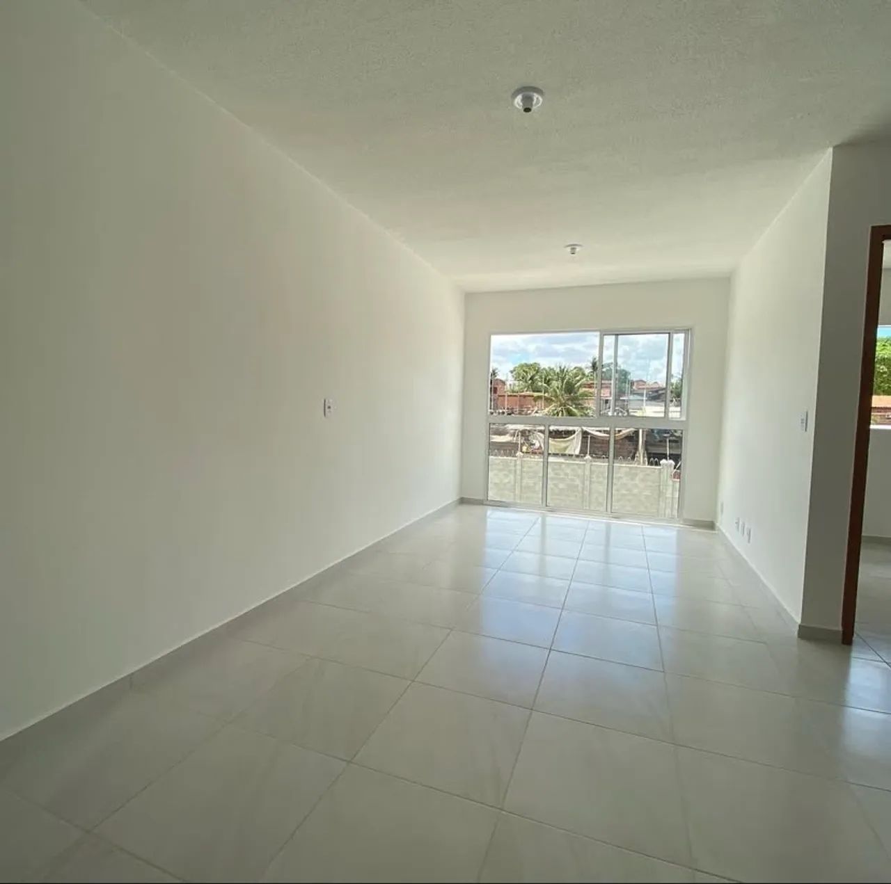 Foto - João Pessoa - Oitizeiro