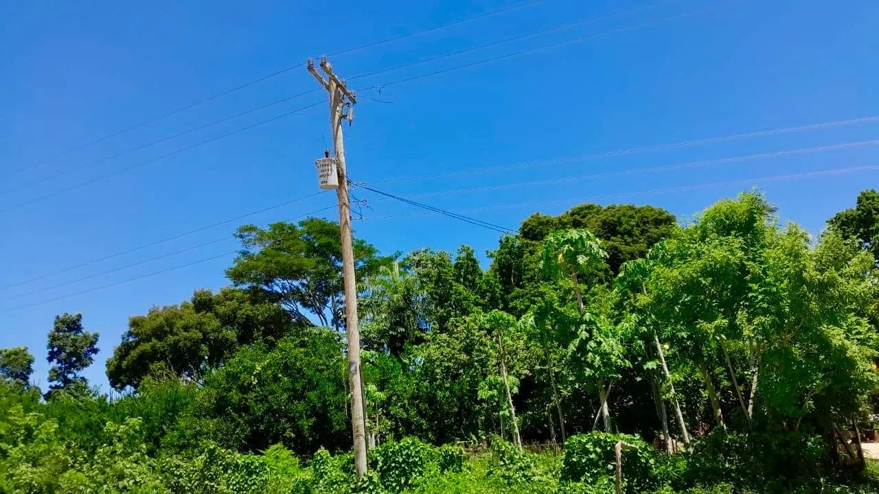 Excepcional Sítio com renda - Foto 5