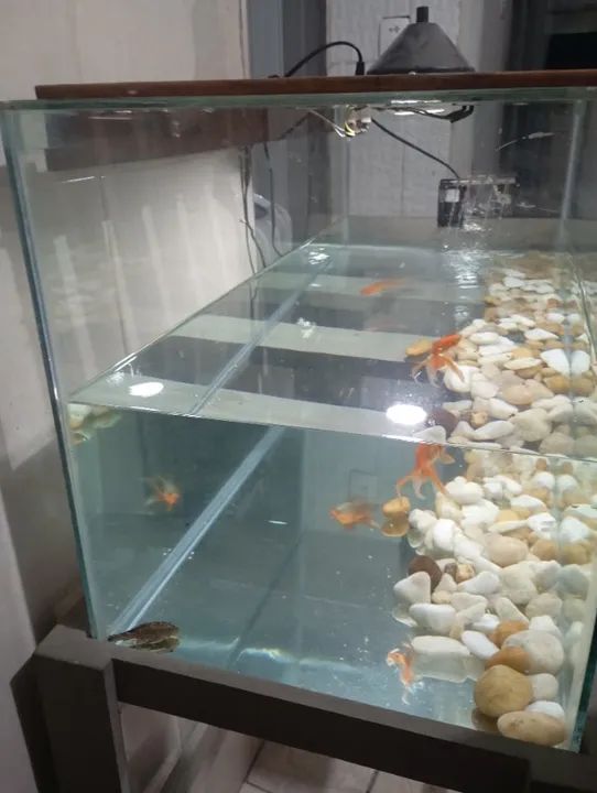 VENDO AQUARIO 150 LT - Foto 4
