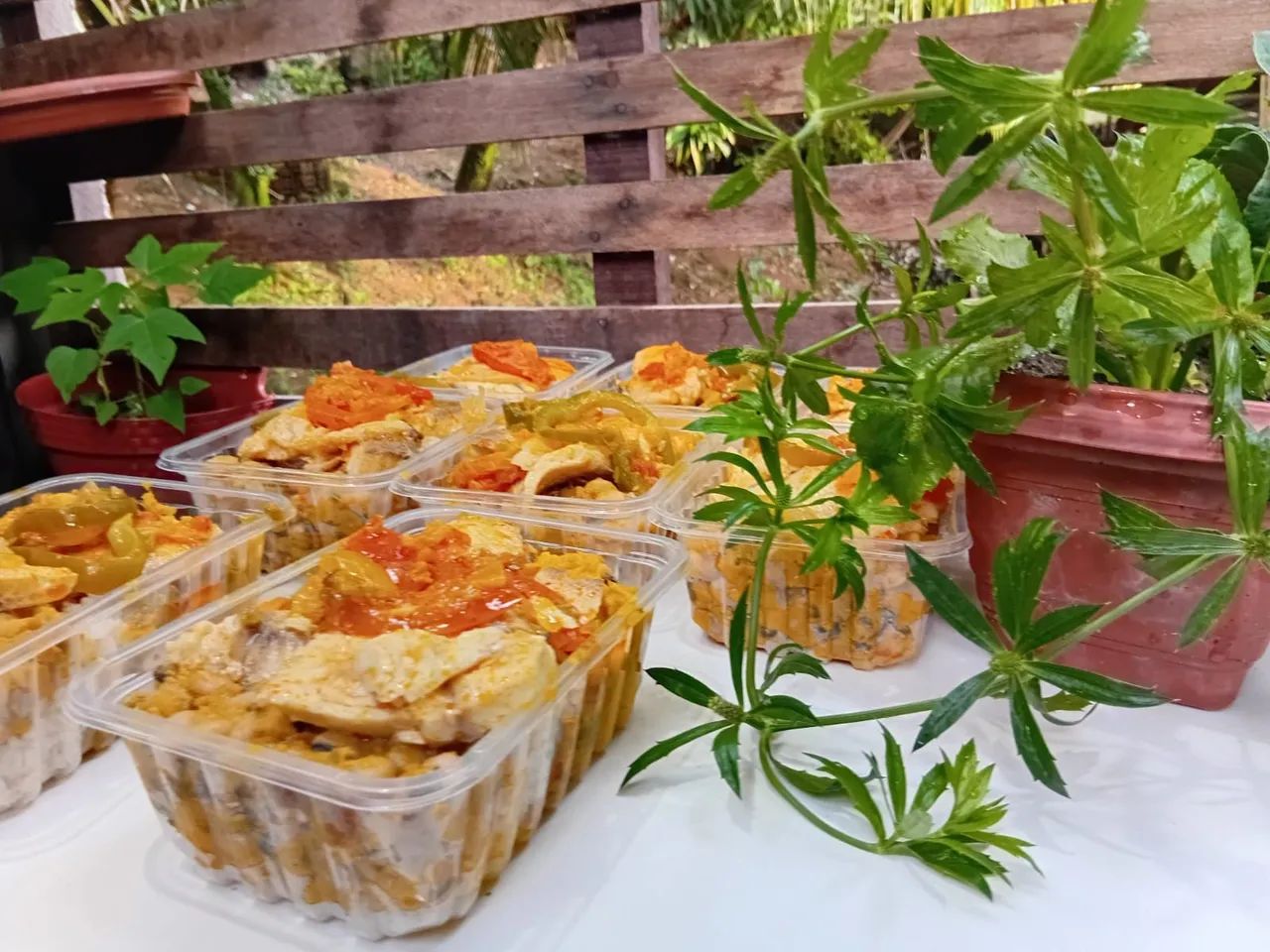 Marmita congelada comida saudável - Foto 5