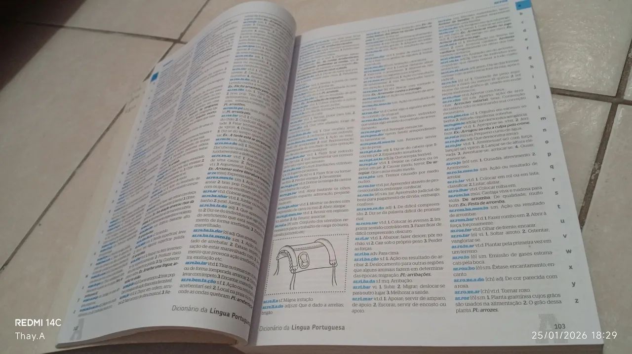 Dicionário sistema Sucesso de Ensino (atualizado com o novo Acordo Ortográfico)  - Foto 4