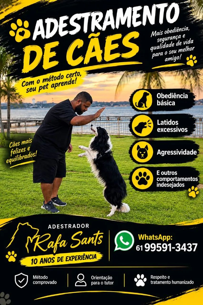 Adestramento de cães 