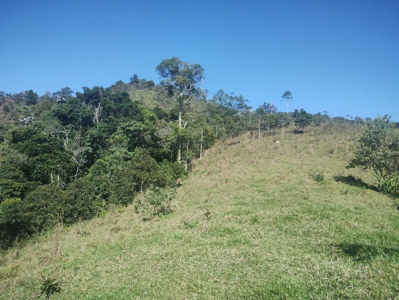 DOMINGOS MARTINS/ALTO PARAJU, 6.8 Hectares! - Foto 4