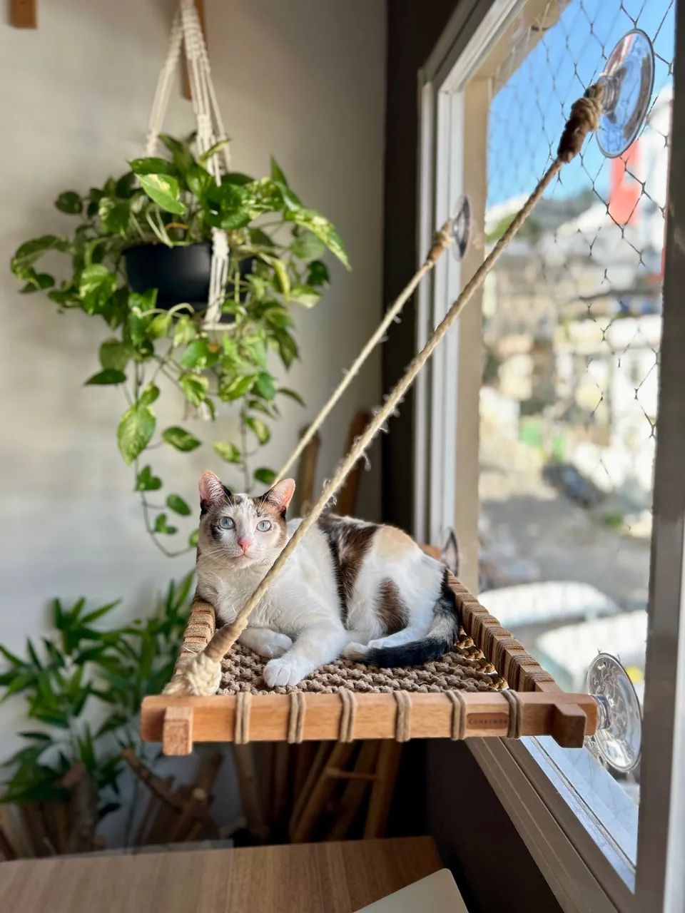 Cama de Gato em Macrame 