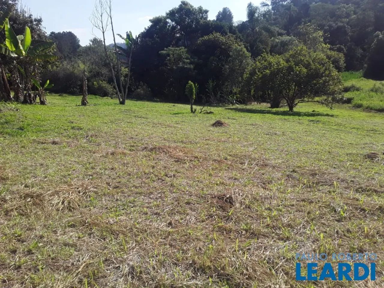 CHACARA - JARDIM ÍSIS - SP - Foto 8