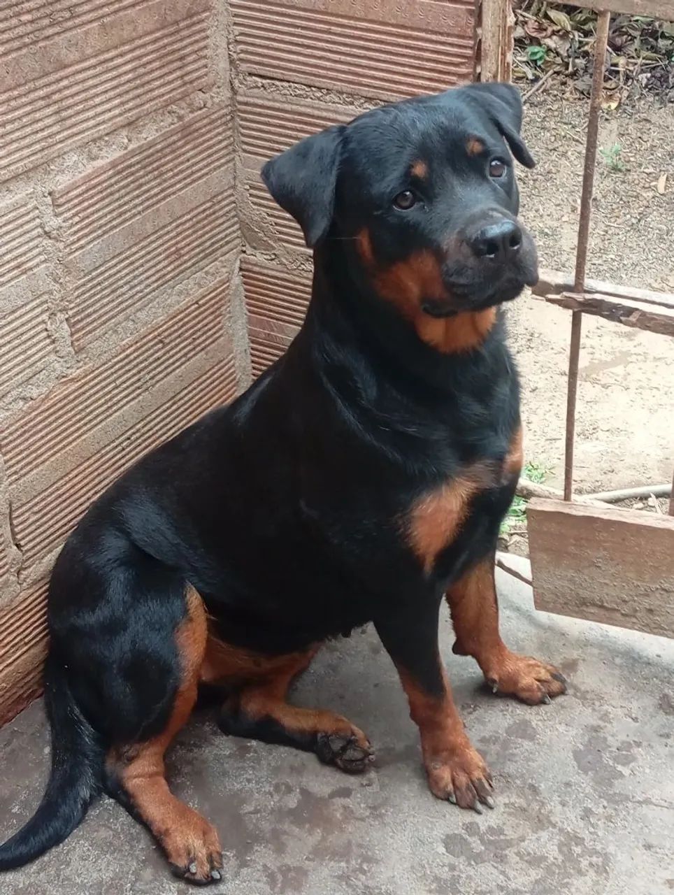 Venda - Foto 2