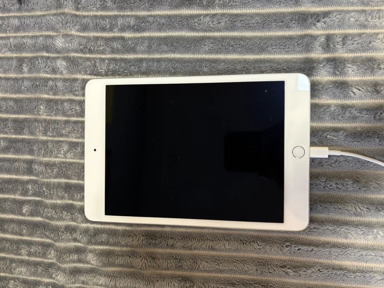 Ipad Mini 4
