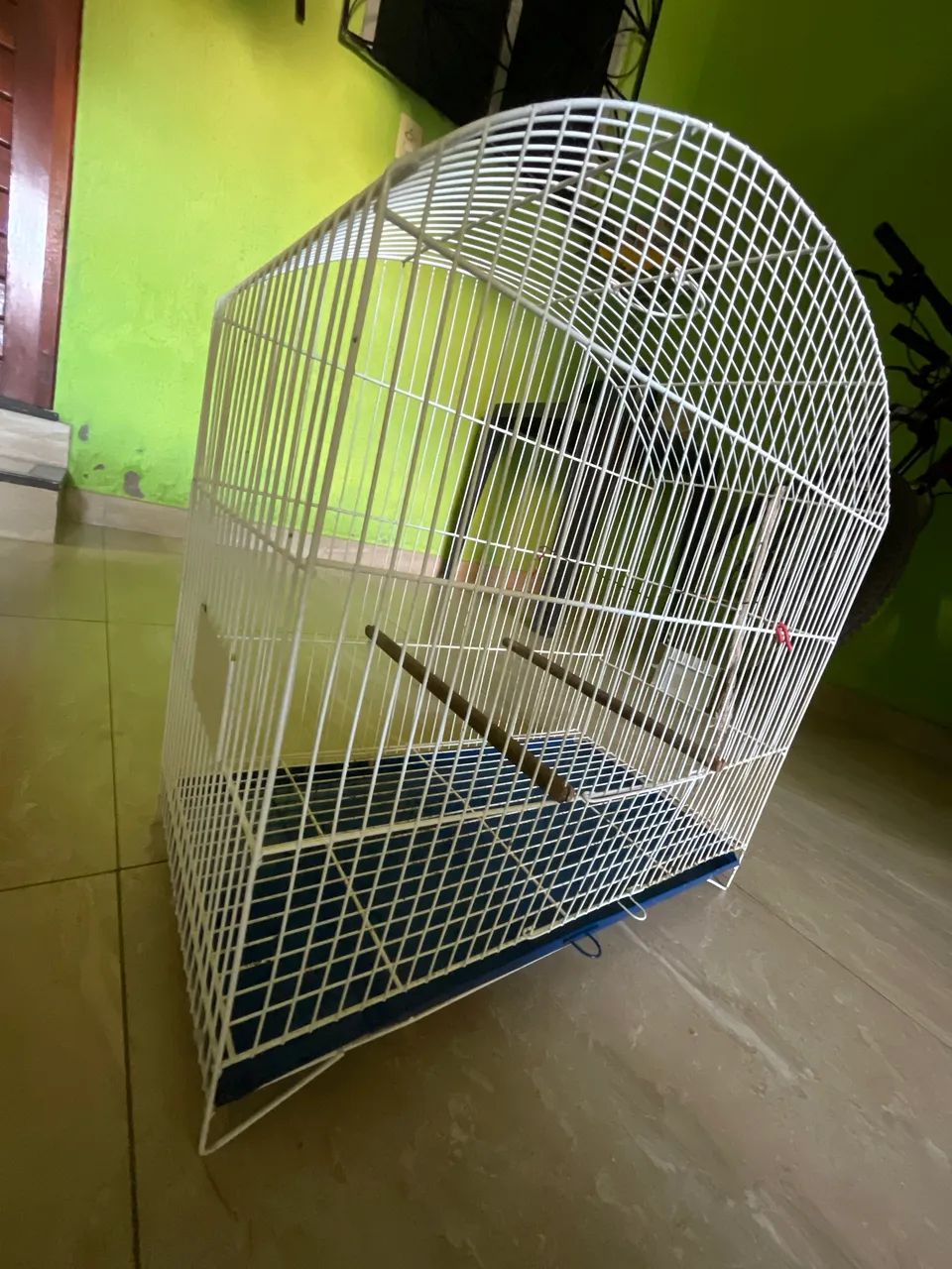 gaiola  - Foto 2