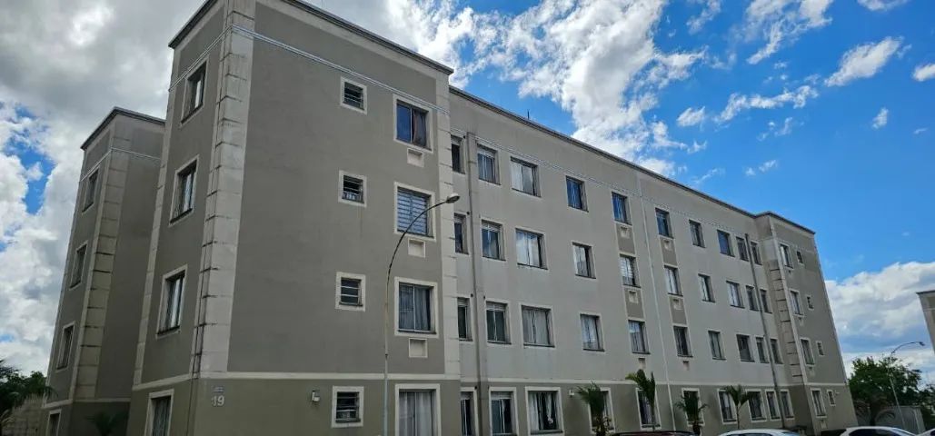 Foto - Araucária - Costeira