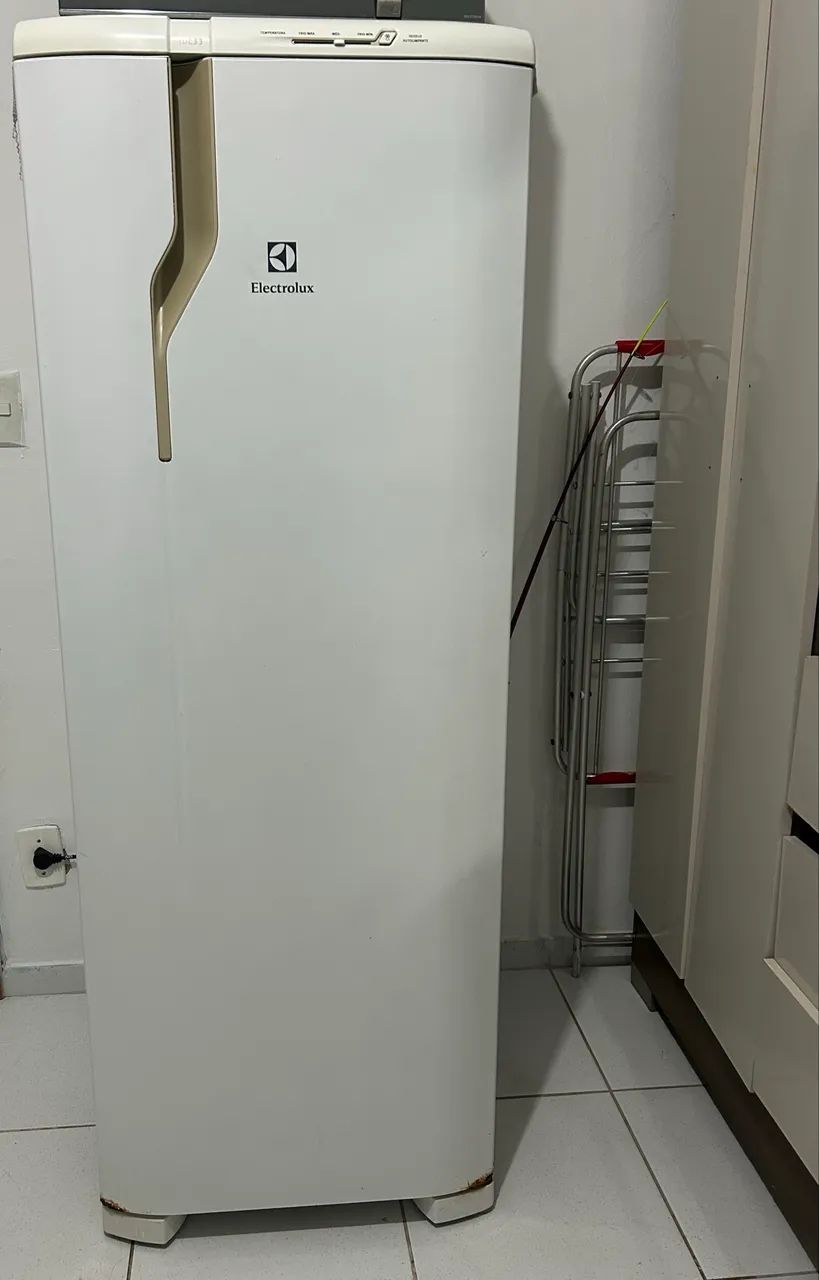 Geladeira Electrolux RDE33