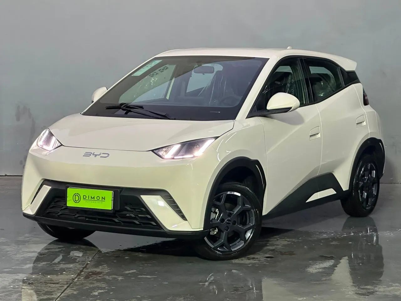 BYD Dolphin Mini (Elétrico) 2027