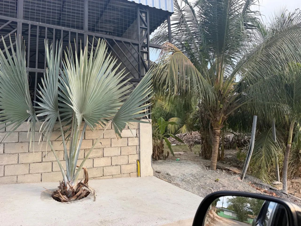 SERVIÇO LIMPEZA OBRA E JARDINAGEM  - Foto 2