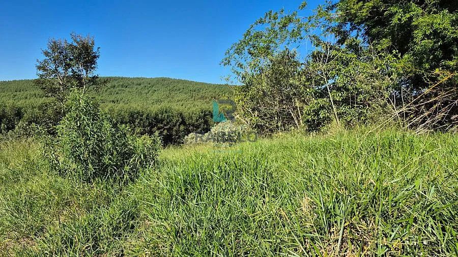 TERRENO PARA FORMAR CHÁCARA EM CANAS-SP - Foto 2