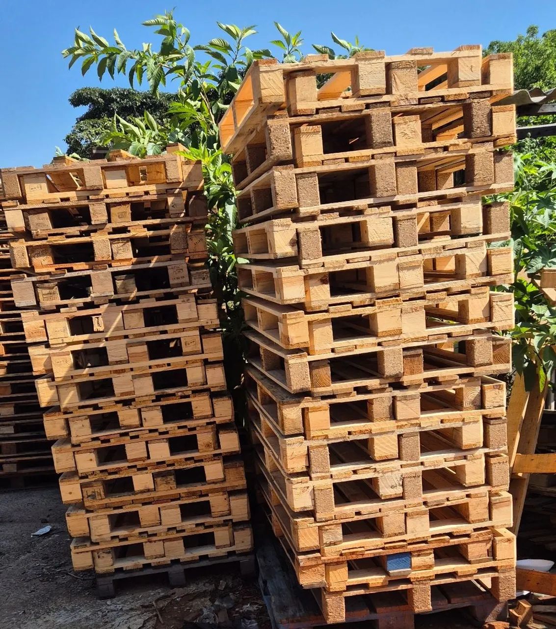 PALETES, PALLETS MADEIRA  - Foto 4