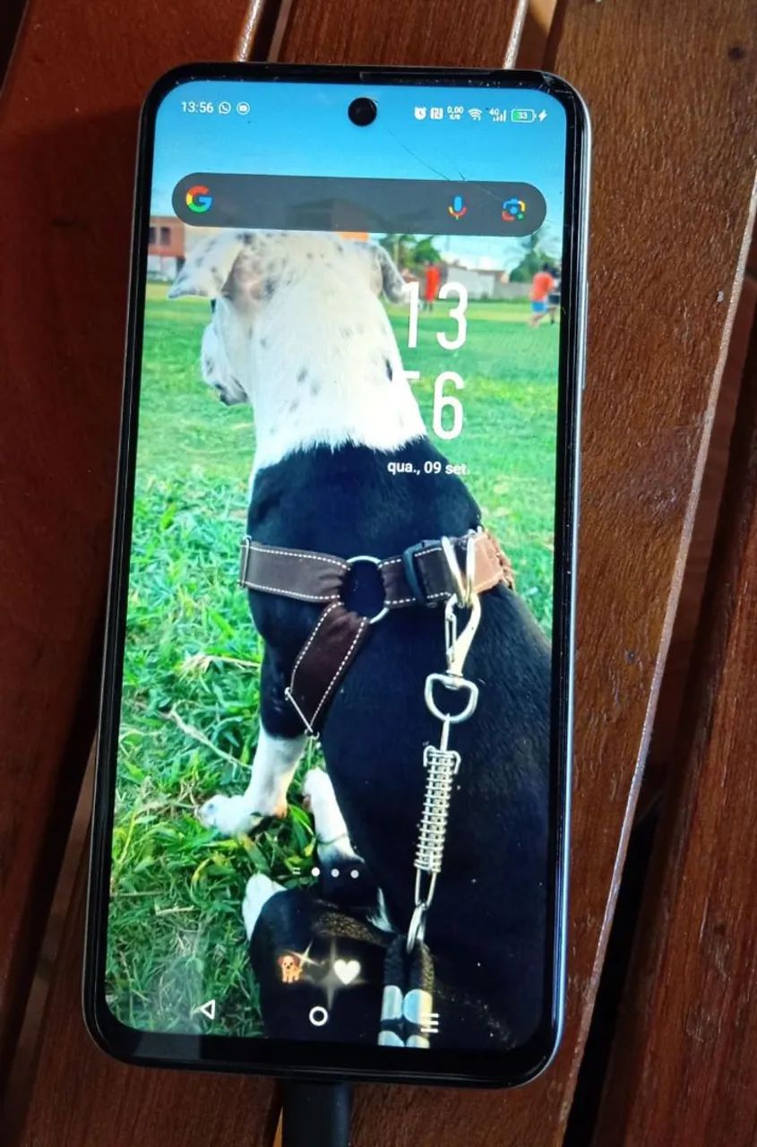 Celular 