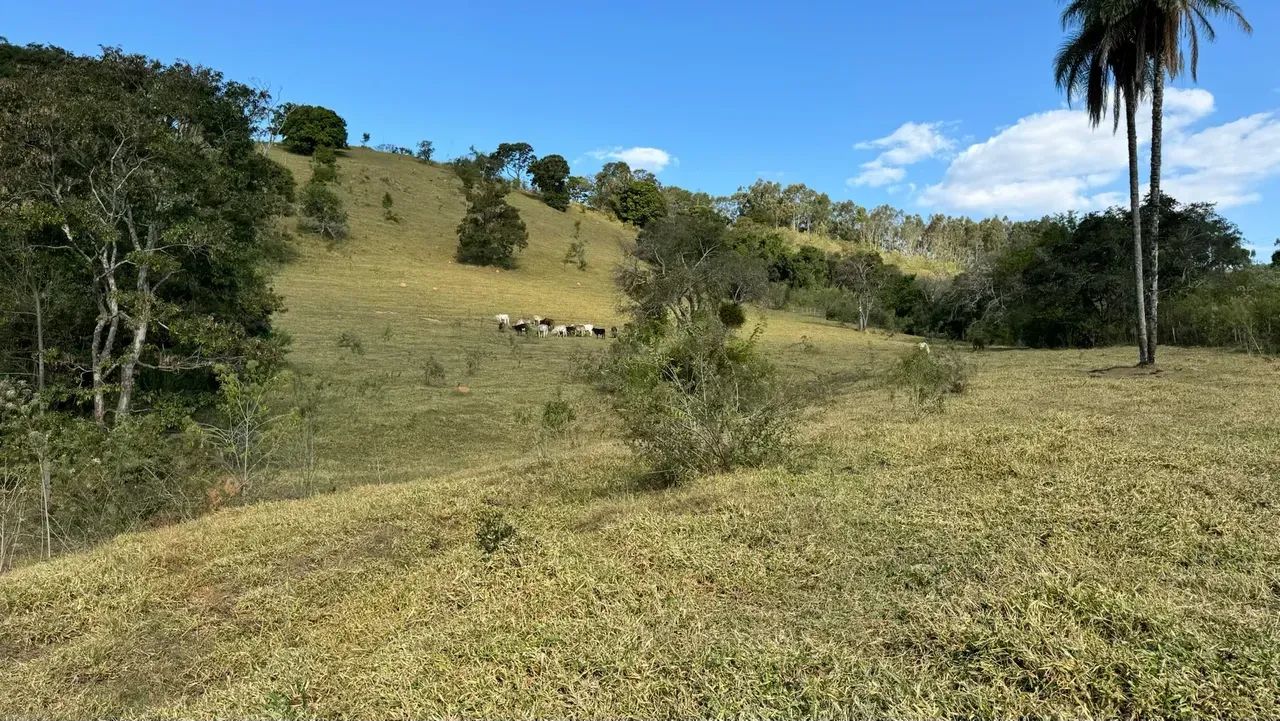 Sitio a venda em Jacutinga -MG - Foto 2