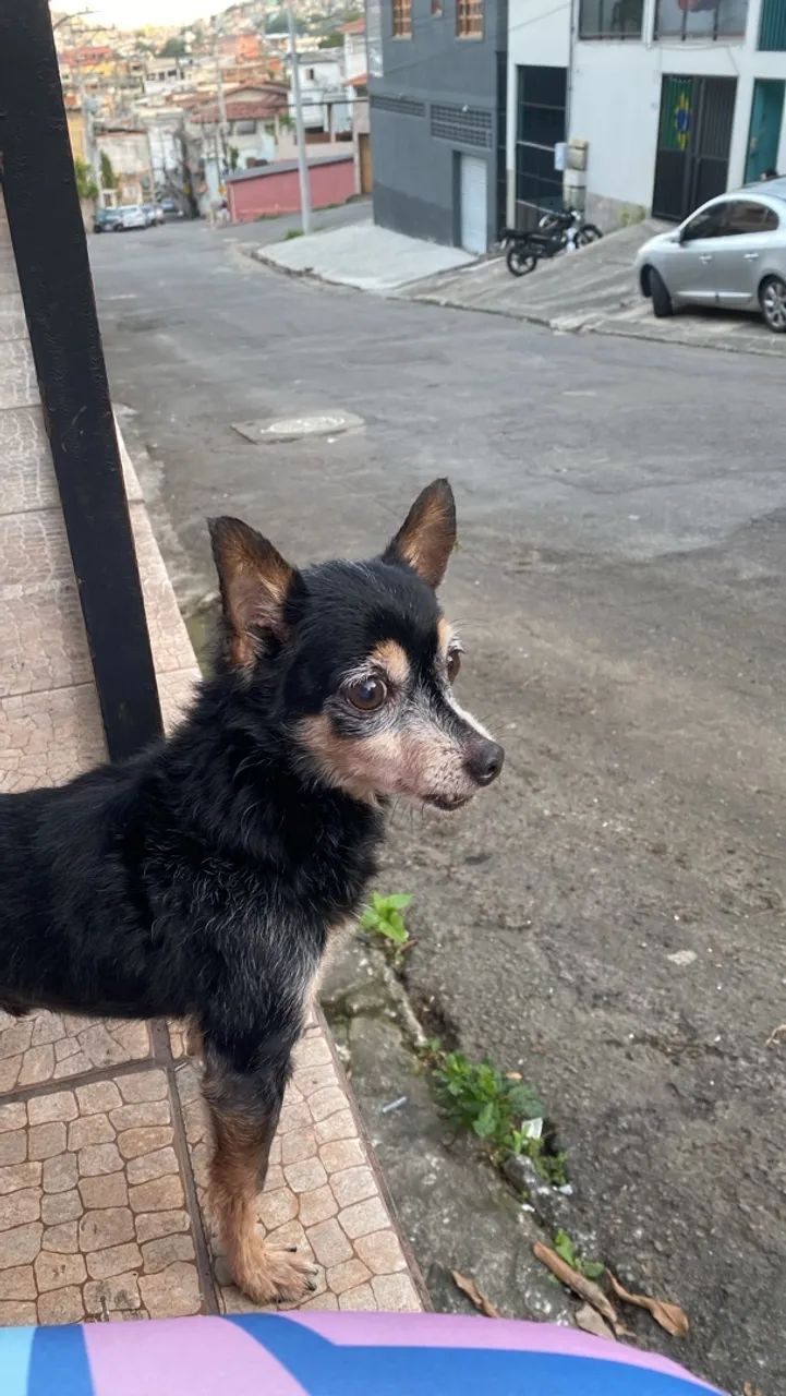 Doação  - Foto 2