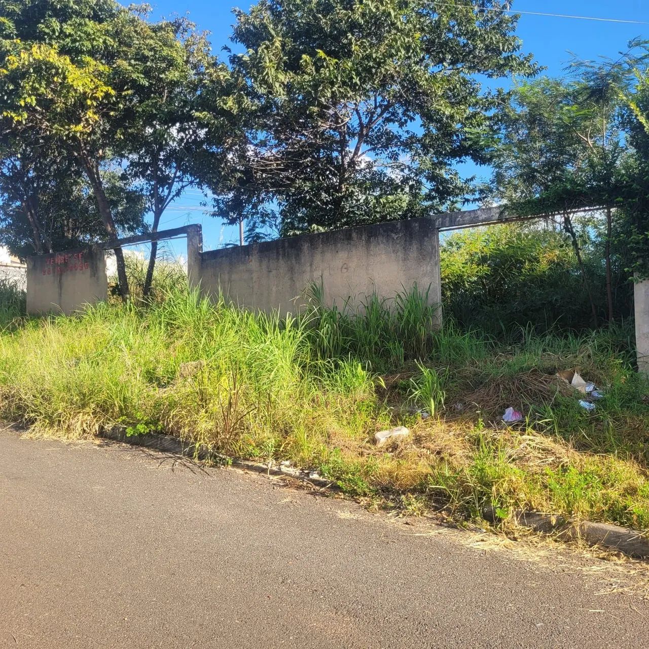 Foto - Aparecida de Goiânia - Parque Hayala