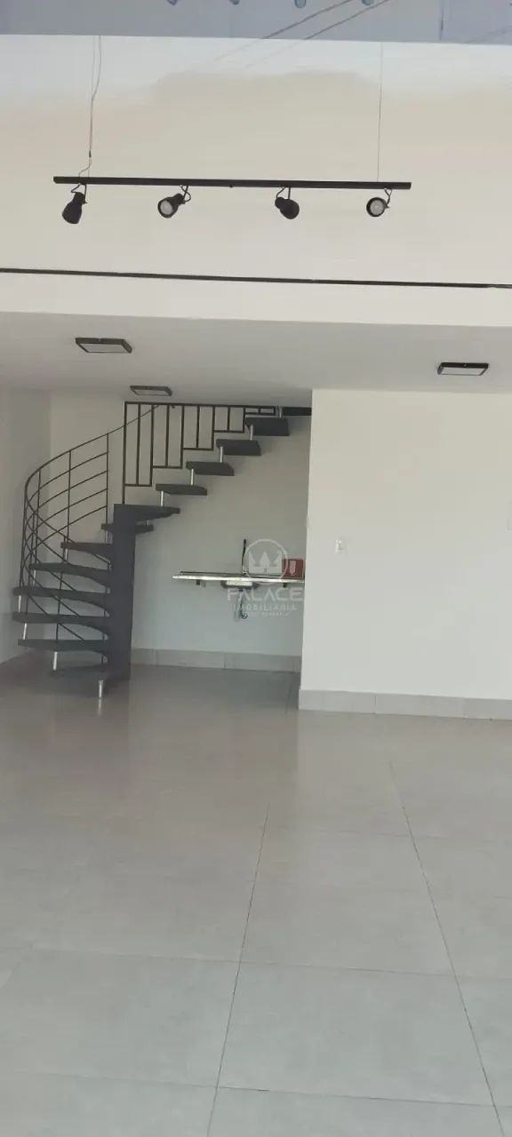 Barracão - / Comercial / Paulicéia (Cópia) - Foto 3
