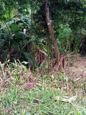 Terreno na Fazendinha - Teresópolis - Foto 2