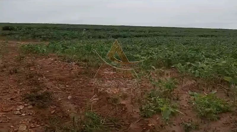 Fazenda - Casa Branca - Zona Rural - Foto 2
