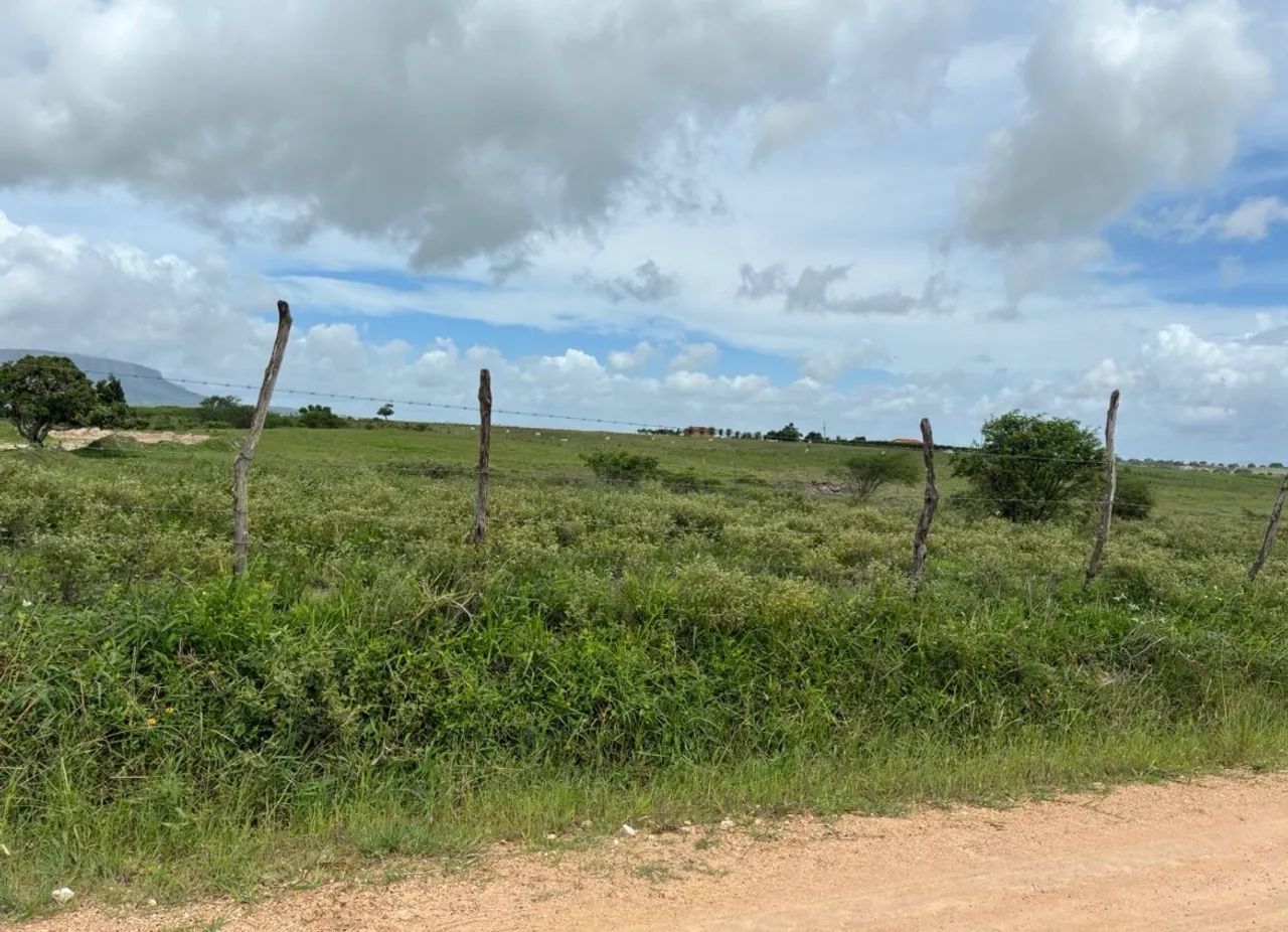 Vendo terreno no povoado Malhada Velha - Foto 2