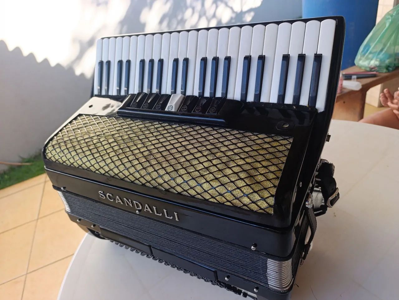 Sanfona, acordeon  - Foto 4