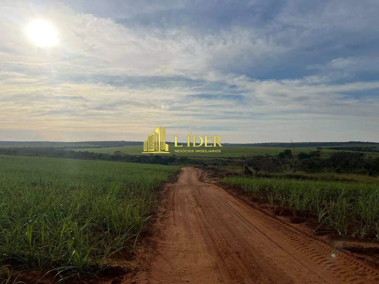 Fazenda à venda, Centro - Uberlândia/MG - Foto 5