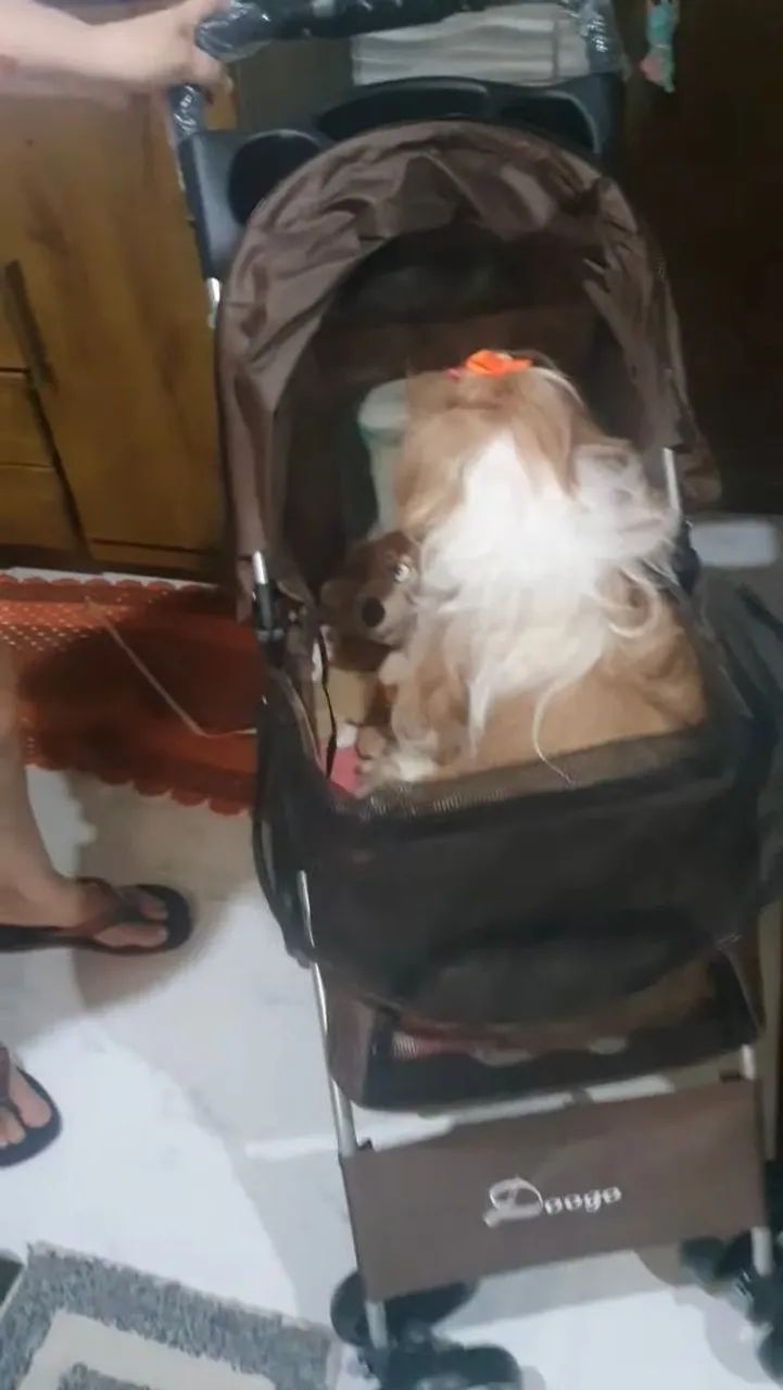 CARRINHO PET MARROM - Foto 4